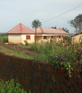 Vente de Terrain avec Maison à Boké 400 Bâtiment