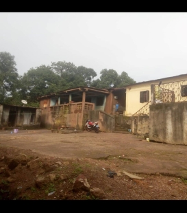 Vente de 2 maisons dans une même cours à Boké tout prés de la route numéro 1 de Boké, prix à discuter