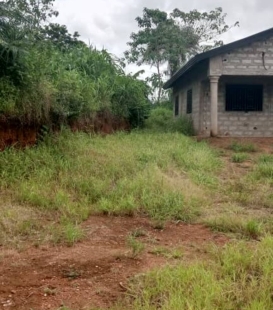 Sabaimmo. Agence agréée et fiable vous propose 1 maison inachevée sur 2 Parcelles colées   en vente à Coyah Kouyéya à quelques mètres de la grande route. documents disponibles, Prix à Discuter. Contact: sabaimmo.com