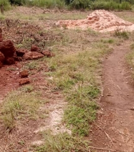 sabaimmo.com vous propose 1 parcelle bien placée, terrain plat en vente à coyah kouyéya. documents disponibles et prix à discuter