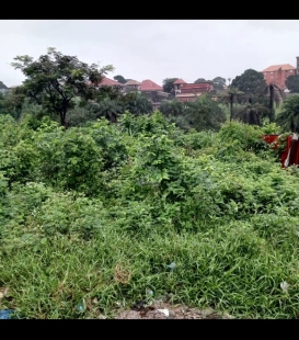 Sabaimmo agence immobilière agréée et fiable met en vente Un magnifique Terrain  tout plat à Friguiadi centre tout prés de l'autoroute ou à seulement 50m de la route nationale conakry-coyah. prix très  bas et à discuter.