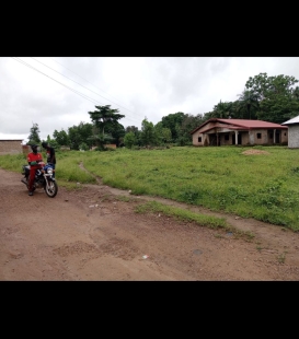 Terrain en vente avec Maison à l'interieur. à wonkifon Manguéta