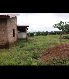 Terrain en vente avec Maison à l'interieur. à wonkifon Manguéta